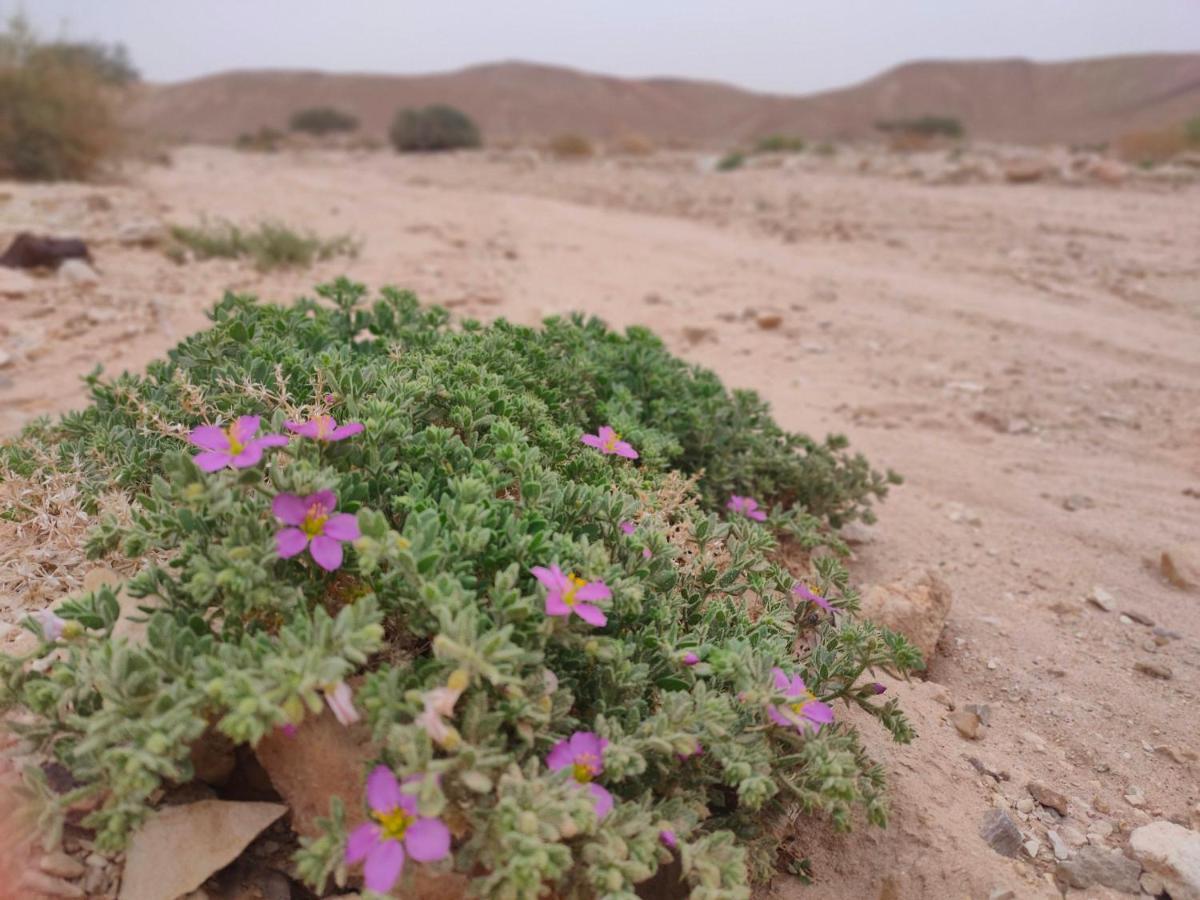 Desert Path Be'er Ora 外观 照片