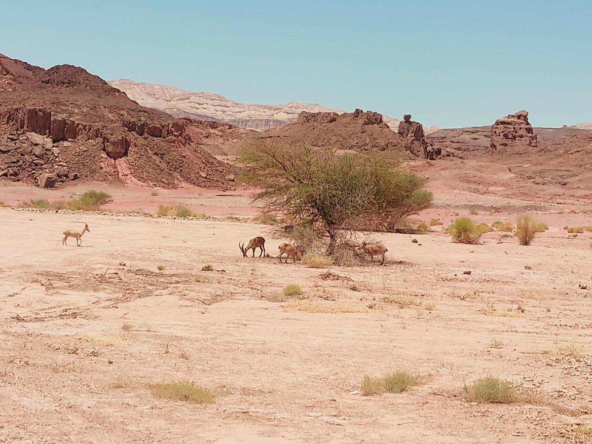 Desert Path Be'er Ora 外观 照片